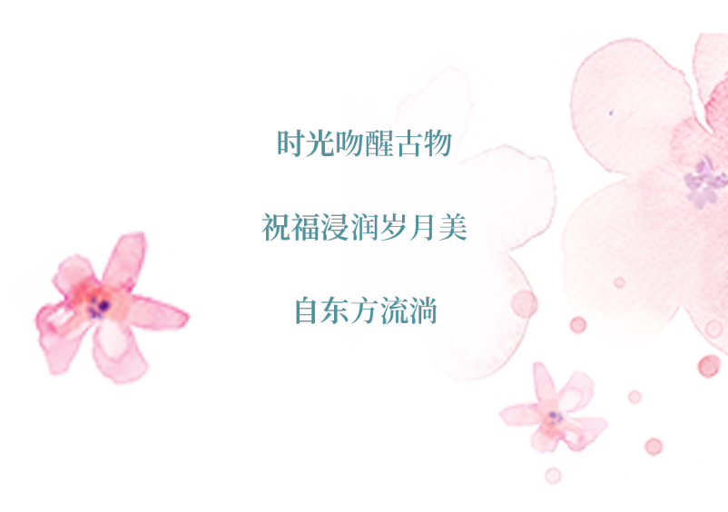 2b3a2f6a267de183a8f9b742626d24fa.png