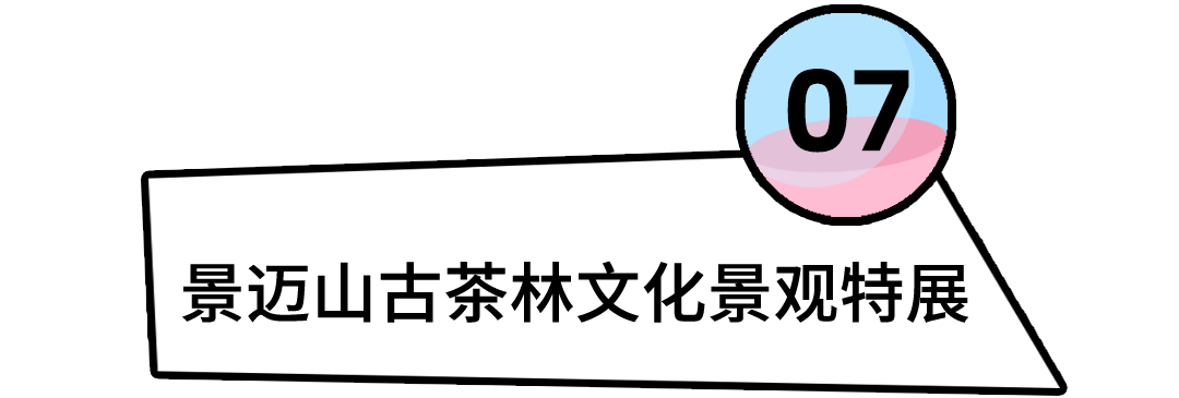 8d6fce3b1d08f75220ee8a7cdb371312.png