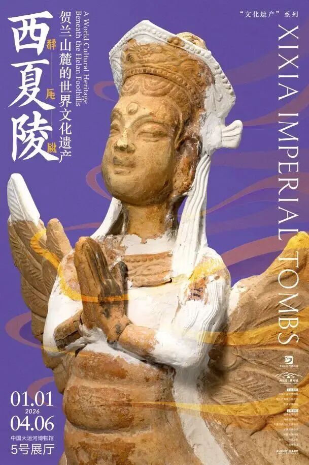 fad3cd5da370cf95b26368eff98684ed.jpg