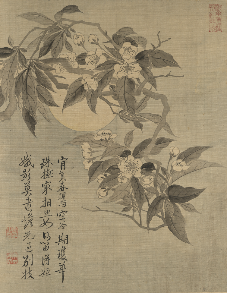 3cc81c69441b8abc548f6019f1073fa8.png